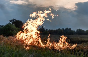 Risque d’incendie en Ille-et-Vilaine : attention au feu en forêt