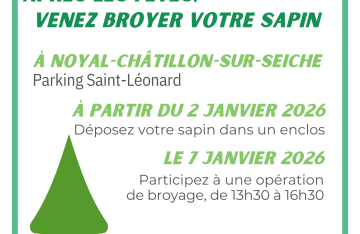 Opération broyage de sapins