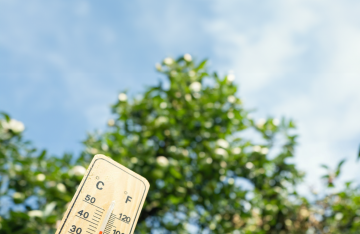 Canicule : l&rsquo;Ille-et-Vilaine passe en vigilance jaune