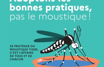 Prolifération des moustiques tigres en Bretagne : l&rsquo;ARS sollicite les habitants